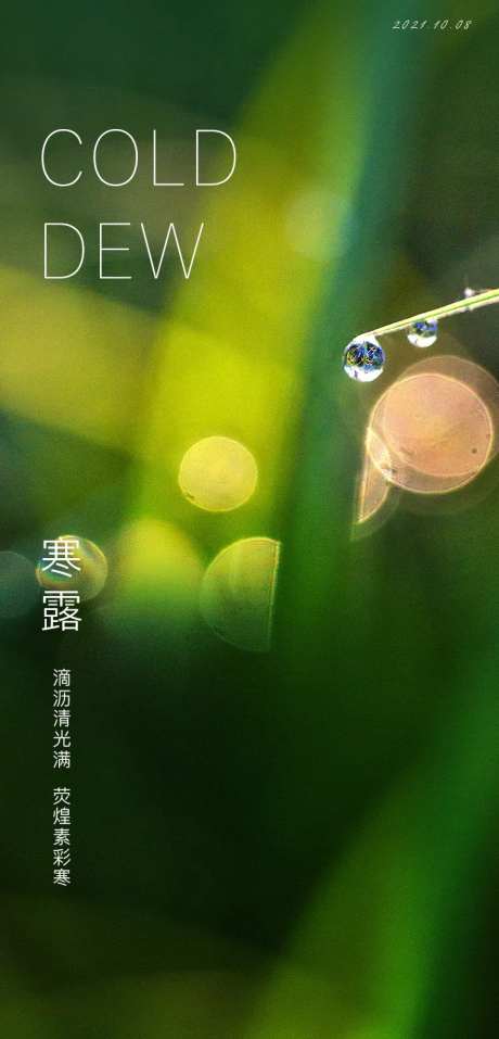 寒露节气海报-采灵感-https://www.cailinggan.com/