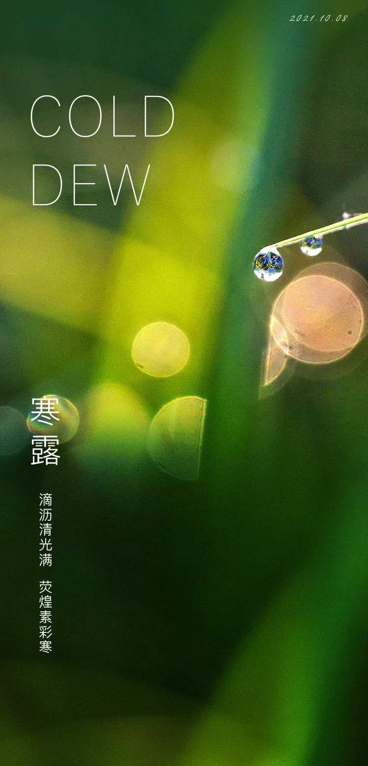 寒露节气海报-采灵感-cailinggan.com