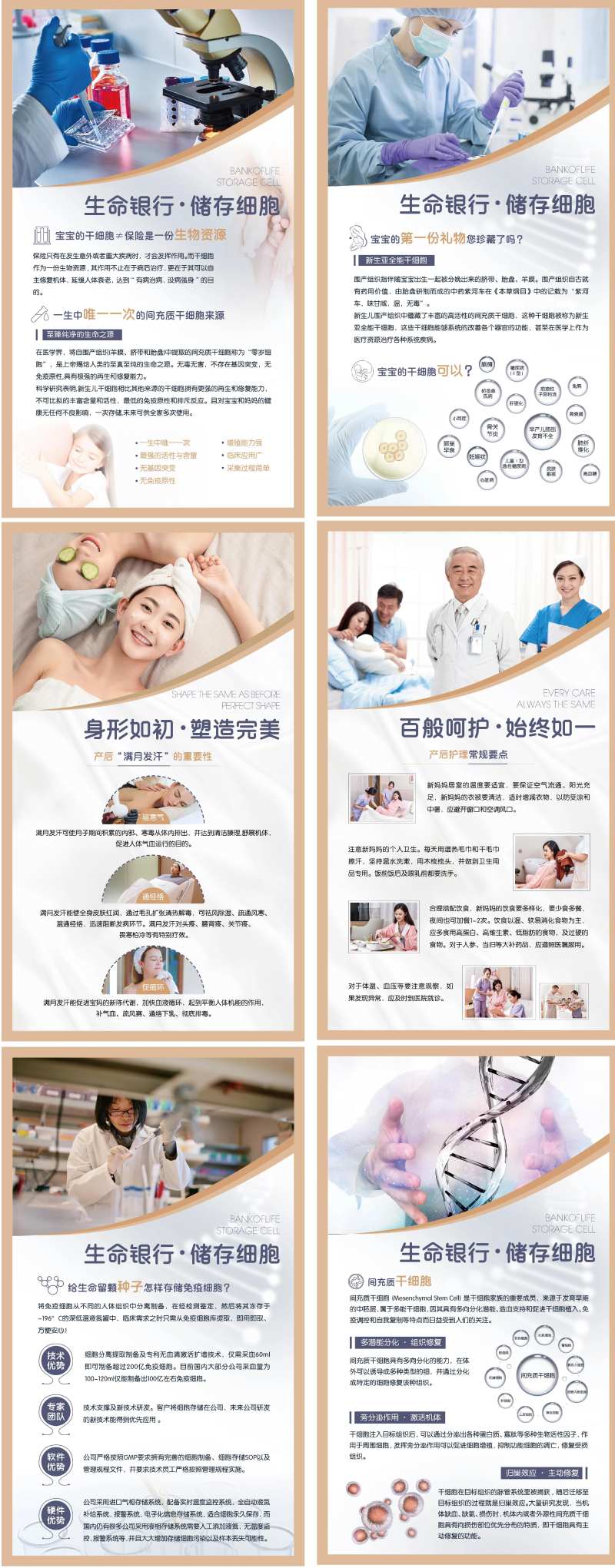 细胞银行科普挂画-采灵感-cailinggan.com