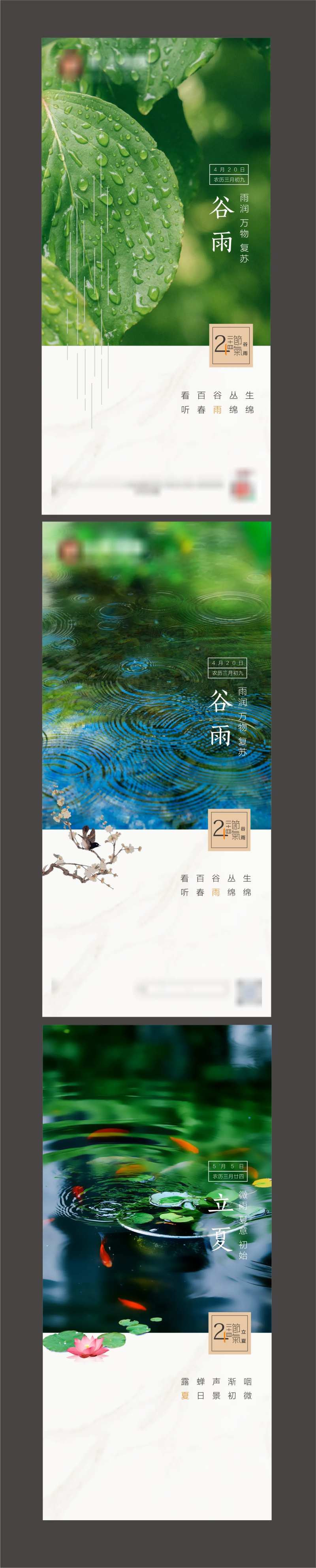谷雨立夏海报-采灵感-cailinggan.com