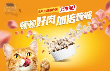 猫咪猫粮banner-采灵感-https://www.cailinggan.com/