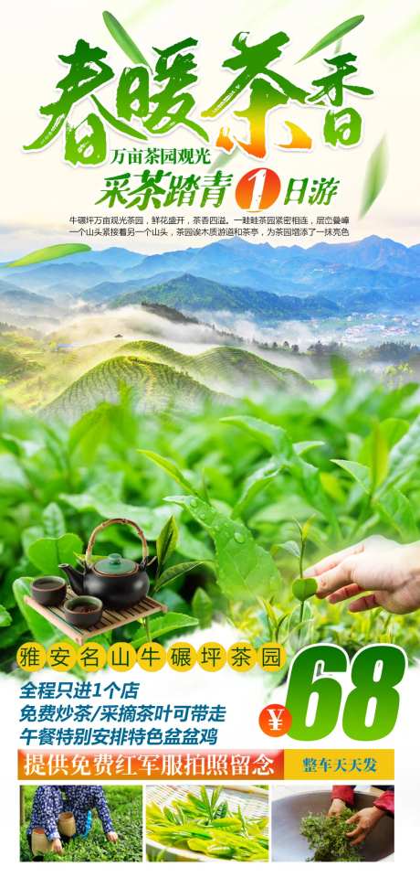 春暖茶香采茶踏青1日游-采灵感-https://www.cailinggan.com/