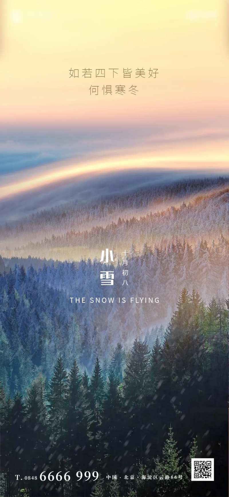 小雪简约大气海报-采灵感-cailinggan.com
