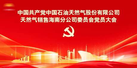 党员代表大会主视觉-采灵感-https://www.cailinggan.com/