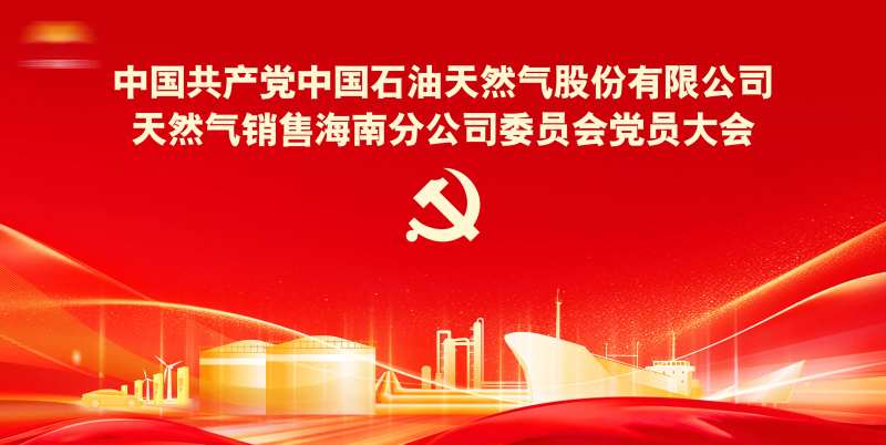 党员代表大会主视觉-采灵感-cailinggan.com