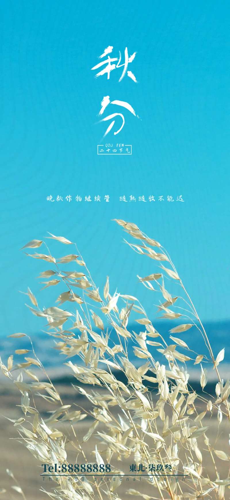 秋分节气移动端海报-采灵感-cailinggan.com