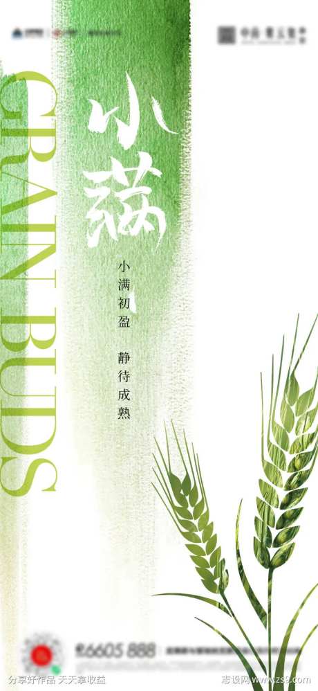 小满芒种夏至海报-采灵感-cailinggan.com
