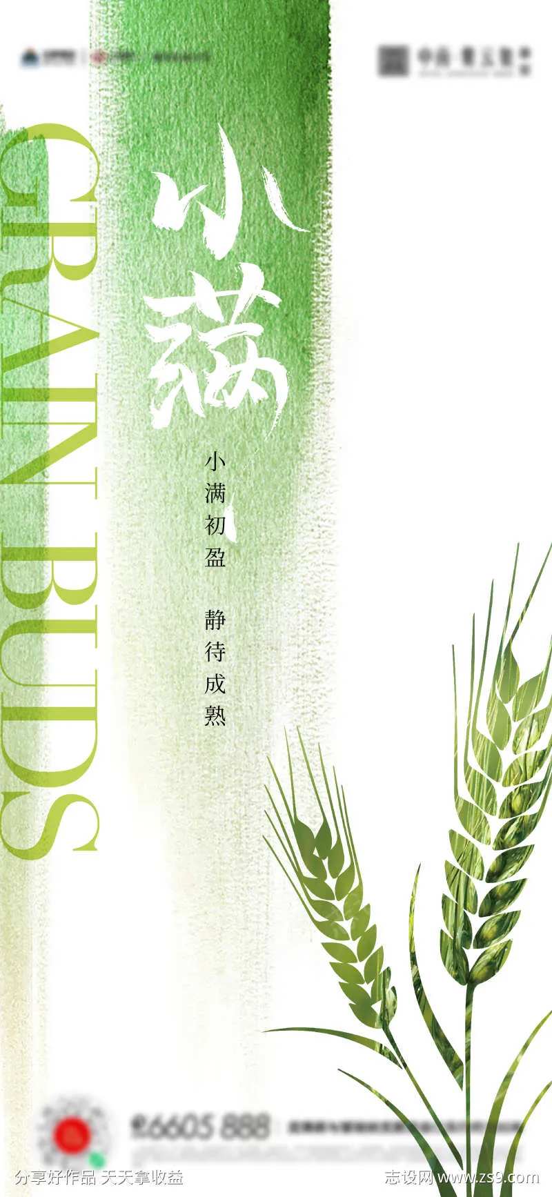 小满芒种夏至海报-采灵感-cailinggan.com