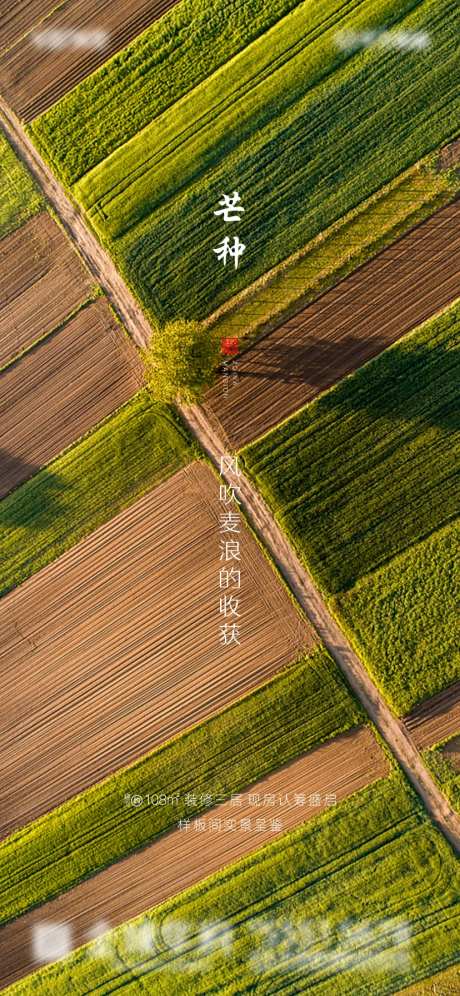 芒种地产微信移动端海报-采灵感-https://www.cailinggan.com/