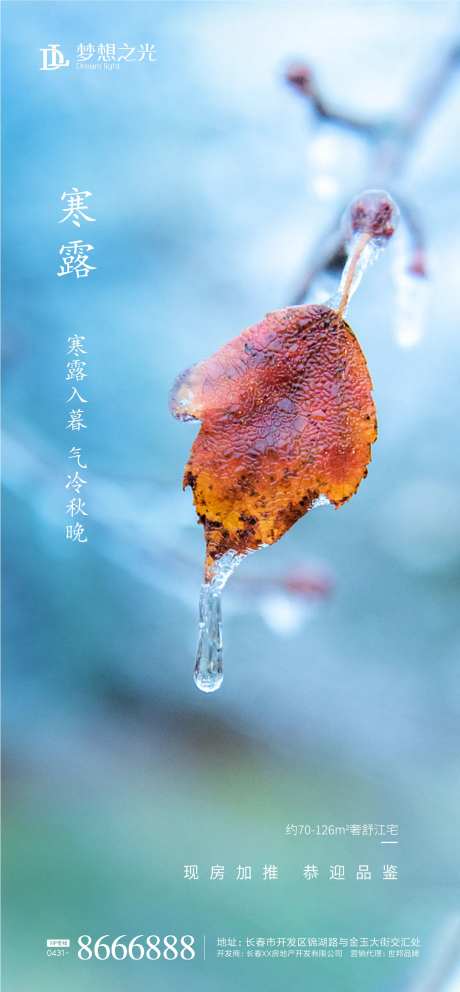 二十四节气寒露冰霜海报-采灵感-https://www.cailinggan.com/