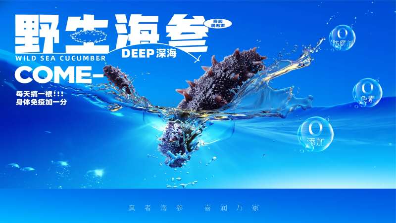 蓝色海参视觉海报-采灵感-cailinggan.com