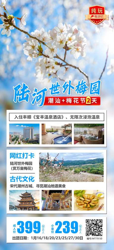 潮汕陆河梅花节 -采灵感-https://www.cailinggan.com/