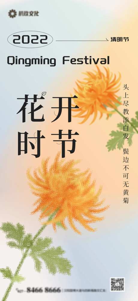 清明节菊花海报-采灵感-https://www.cailinggan.com/