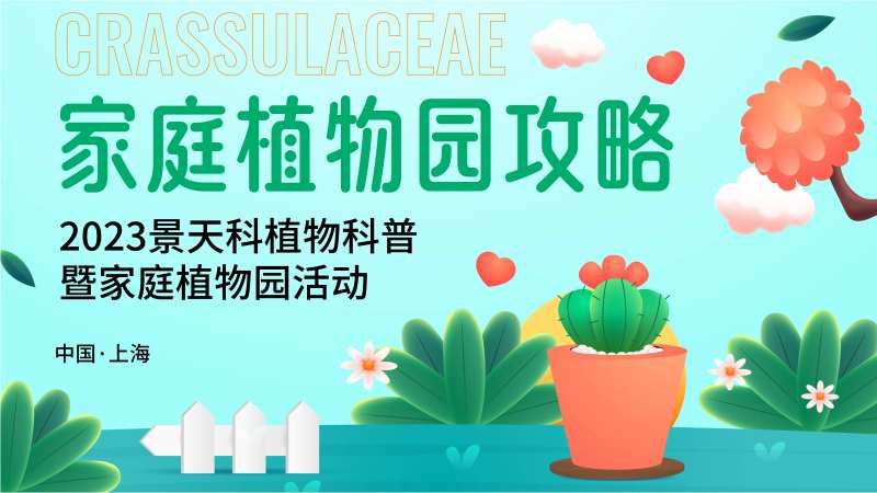 家庭植物园背景板-采灵感-cailinggan.com