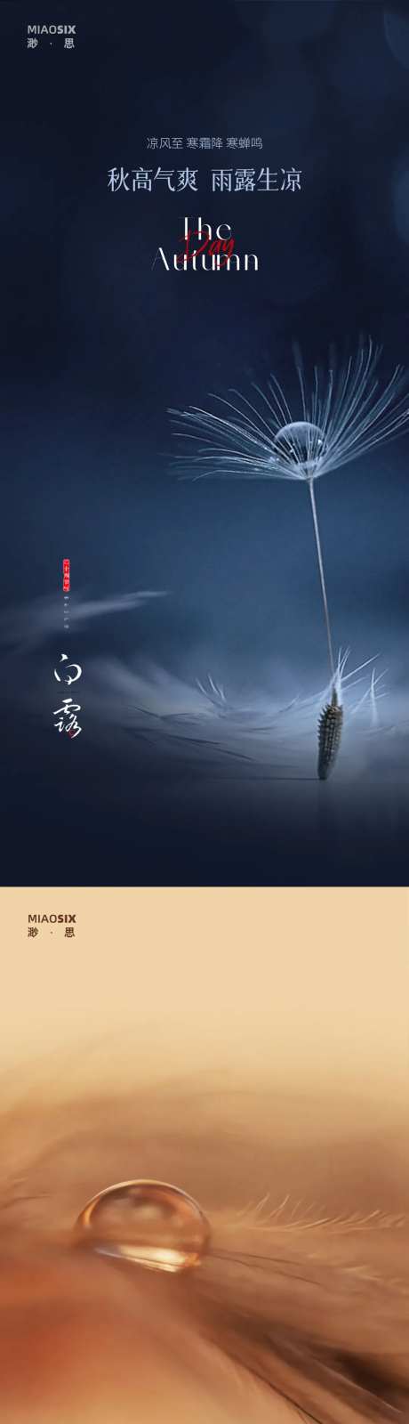 白露纯色系列海报-采灵感-https://www.cailinggan.com/
