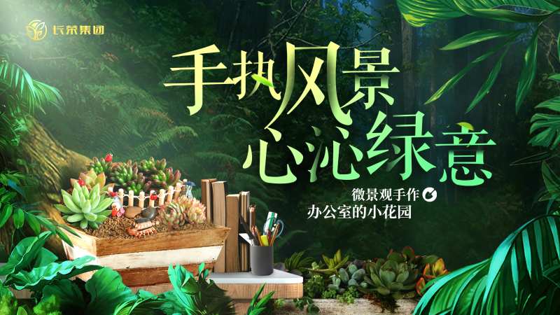 手工多肉绿植暖场活动背景板-采灵感-cailinggan.com