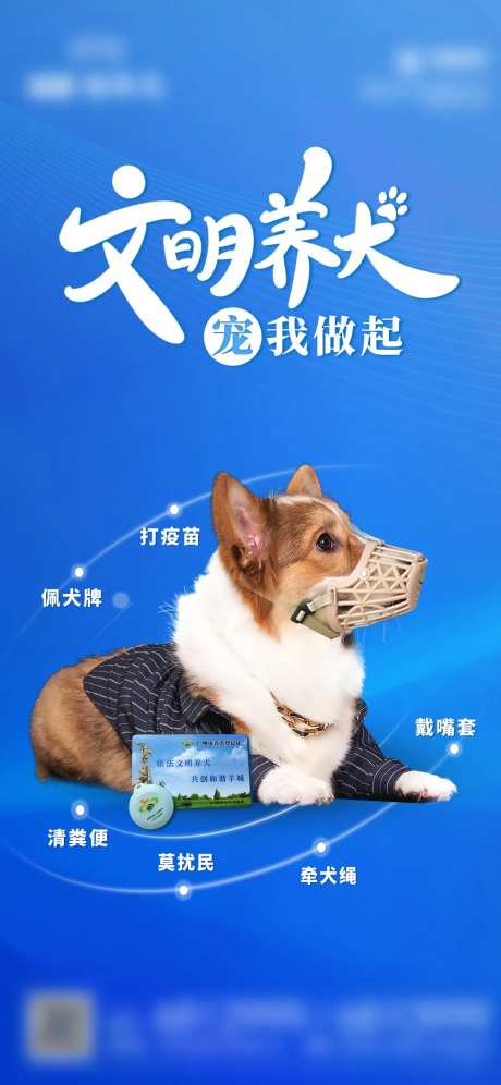 文明养犬-采灵感-https://www.cailinggan.com/