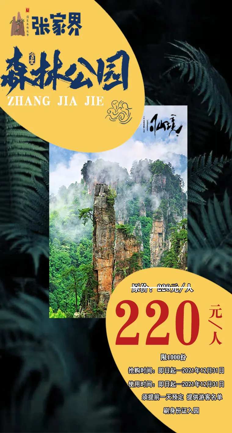张家界森林公园旅游海报-采灵感-cailinggan.com