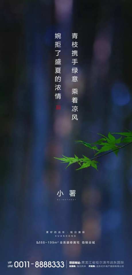 地产小暑节气海报-采灵感-https://www.cailinggan.com/