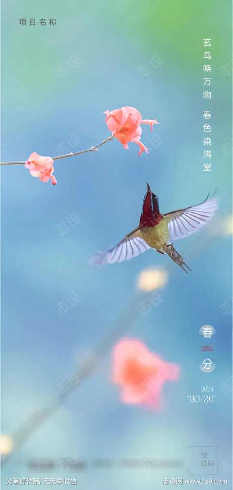 花鸟春分节日节气新鲜绿色美好花儿春天                                                                                                                                                                                      -采灵感-https://www.cailinggan.com/
