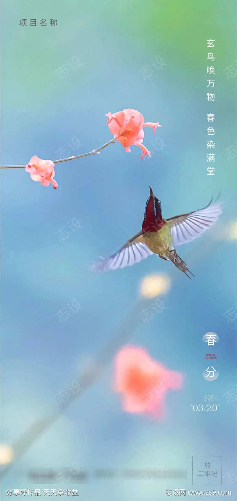花鸟春分节日节气新鲜绿色美好花儿春天                                                                                                                                                                                      -采灵感-cailinggan.com