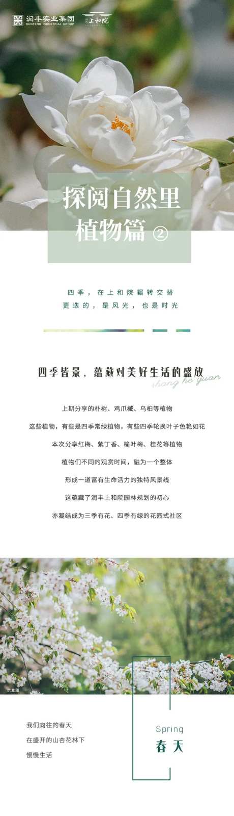 地产项目配套植物篇长图-采灵感-https://www.cailinggan.com/