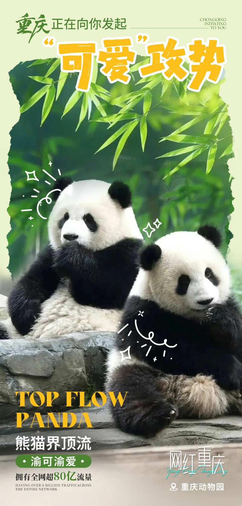 重庆动物园熊猫品宣海报-采灵感-cailinggan.com