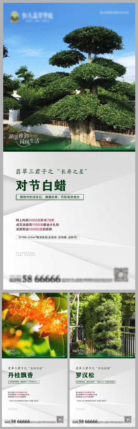 园林植物卖点系列海报-采灵感-https://www.cailinggan.com/
