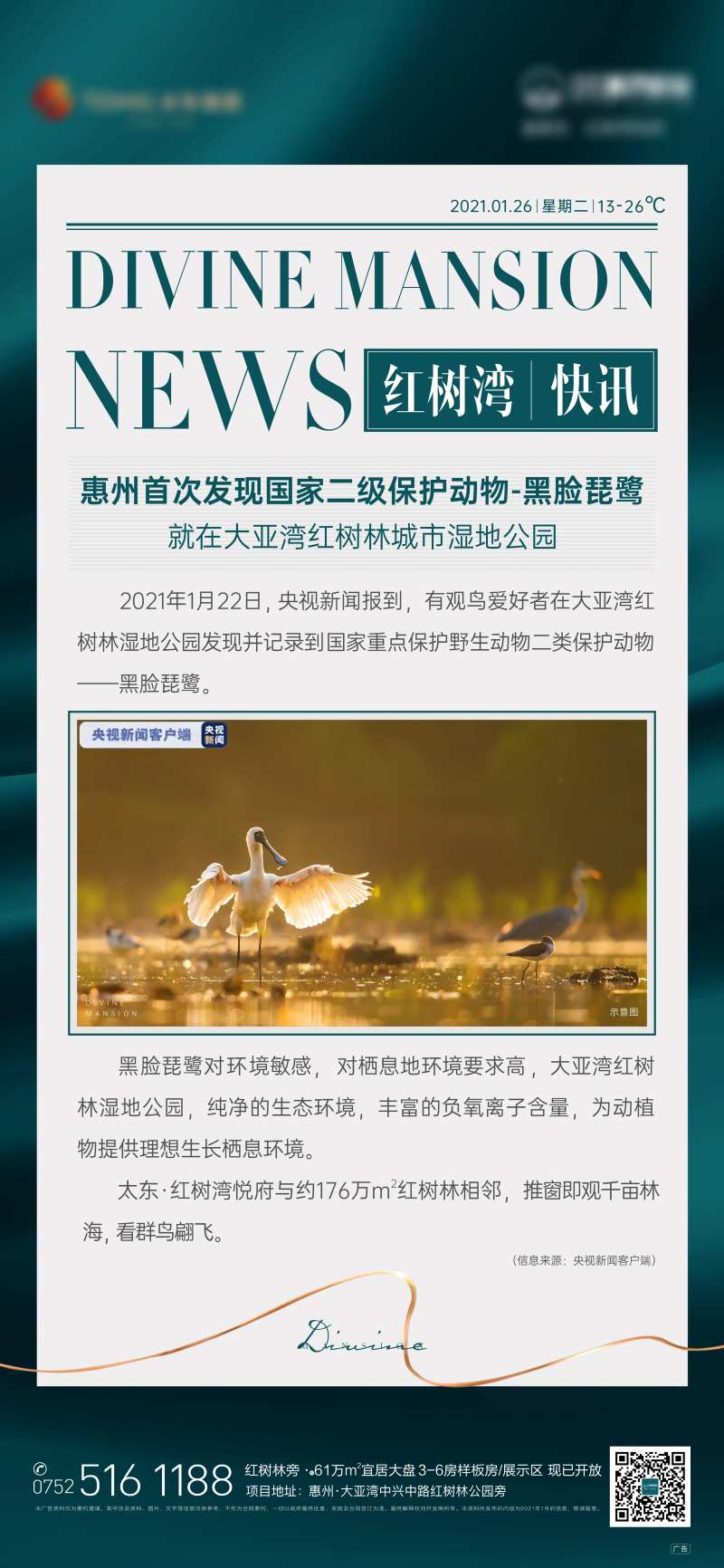 快讯海报-采灵感-cailinggan.com