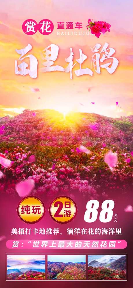 贵州百里杜鹃旅游海报-采灵感-https://www.cailinggan.com/