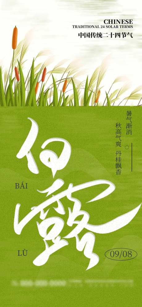 绿色清新白露节气海报-采灵感-https://www.cailinggan.com/