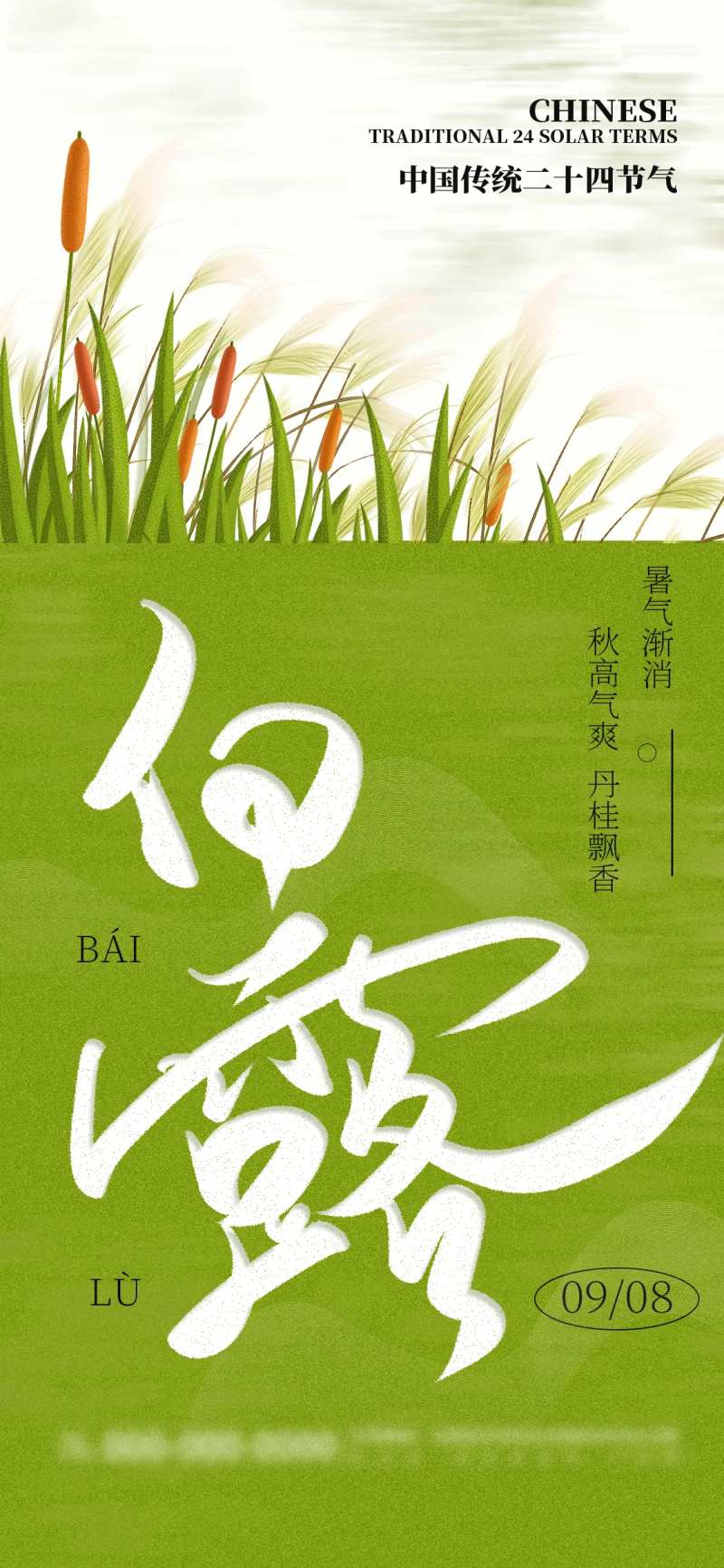 绿色清新白露节气海报-采灵感-cailinggan.com