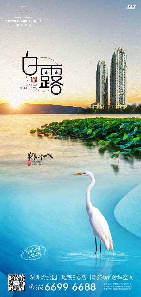 白露二十四节气海报-采灵感-cailinggan.com