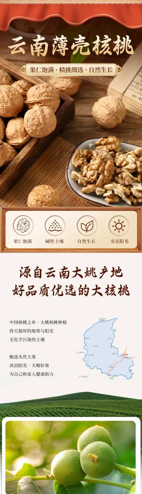 云南薄壳核桃纸皮核桃详情页-采灵感-https://www.cailinggan.com/