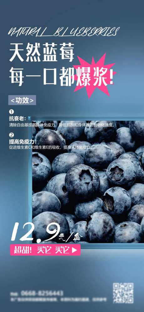 蓝莓简约海报-采灵感-https://www.cailinggan.com/