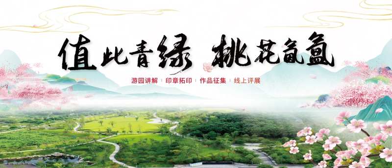 桃花盛开主画面-采灵感-cailinggan.com