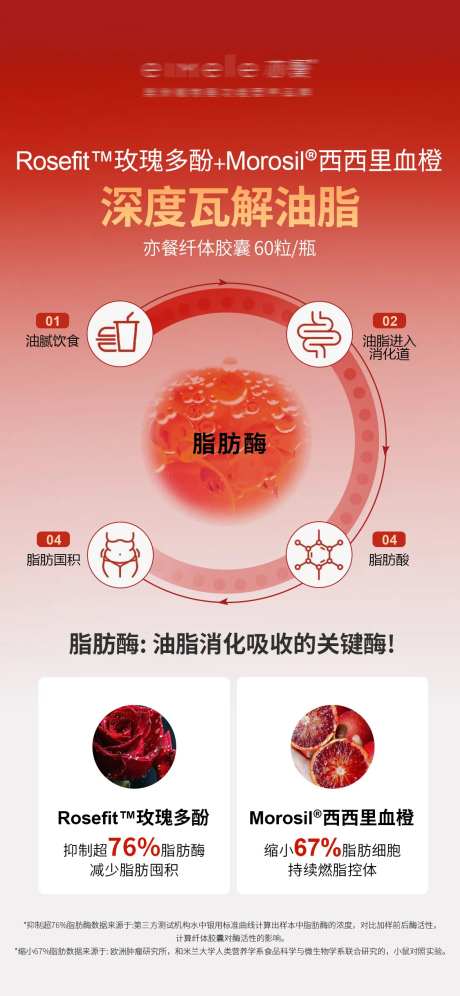 瘦身纤体胶囊深度瓦解油脂海报-采灵感-https://www.cailinggan.com/