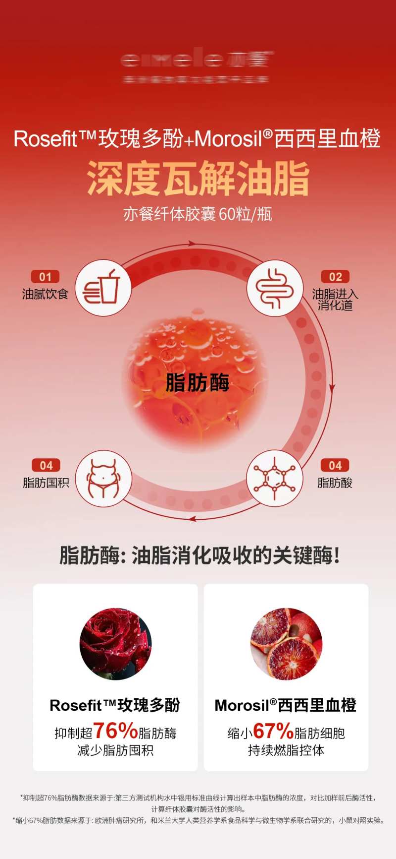 瘦身纤体胶囊深度瓦解油脂海报-采灵感-cailinggan.com