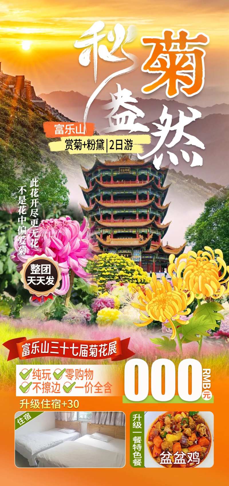 绵阳富乐山菊花观赏海报-采灵感-cailinggan.com