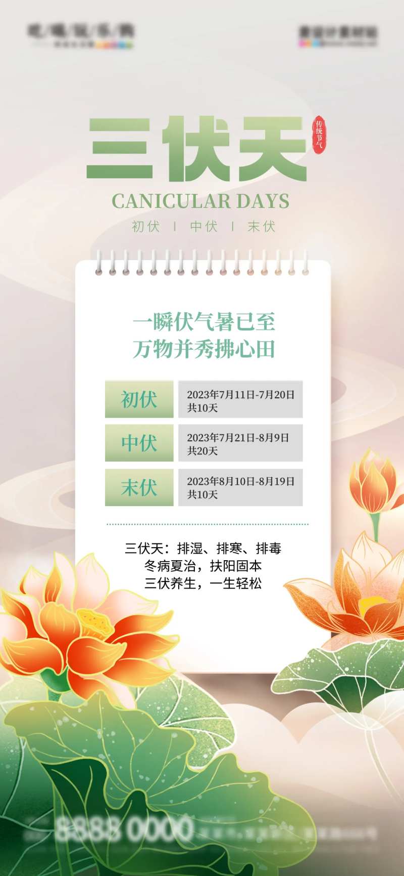 夏天三伏天日历宣传海报-采灵感-cailinggan.com