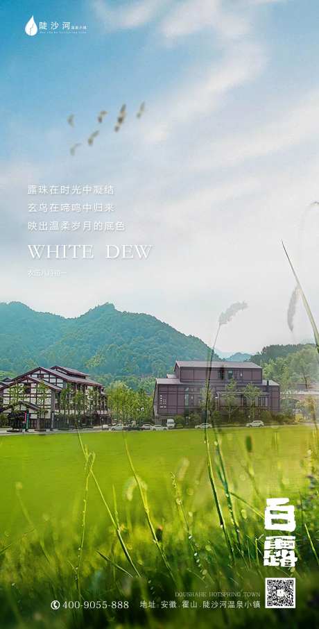 白露-采灵感-https://www.cailinggan.com/