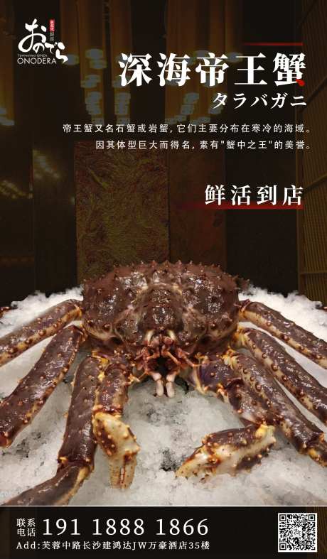 菜品帝王蟹海报-采灵感-https://www.cailinggan.com/