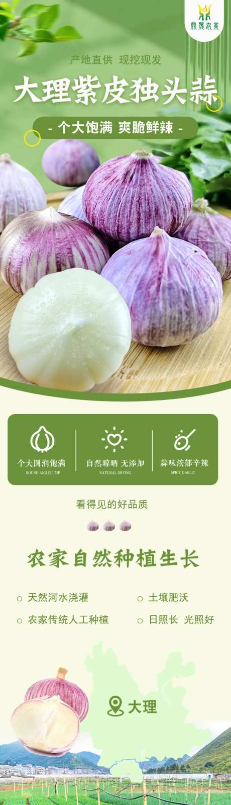 农产品大理紫皮独头大蒜详情页-采灵感-https://www.cailinggan.com/