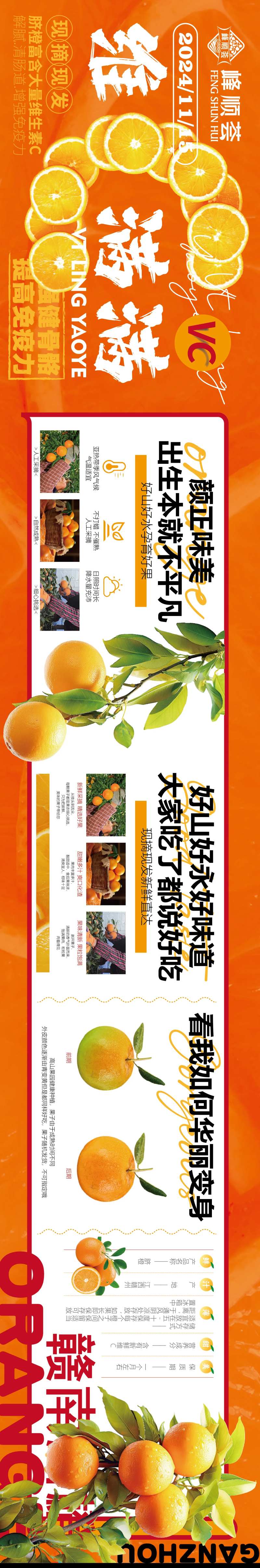 赣南脐橙生态水果-采灵感-cailinggan.com