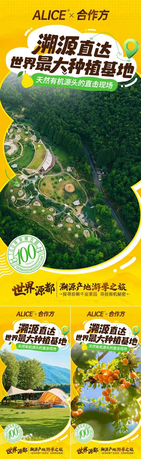 溯源活动海报-采灵感-https://www.cailinggan.com/