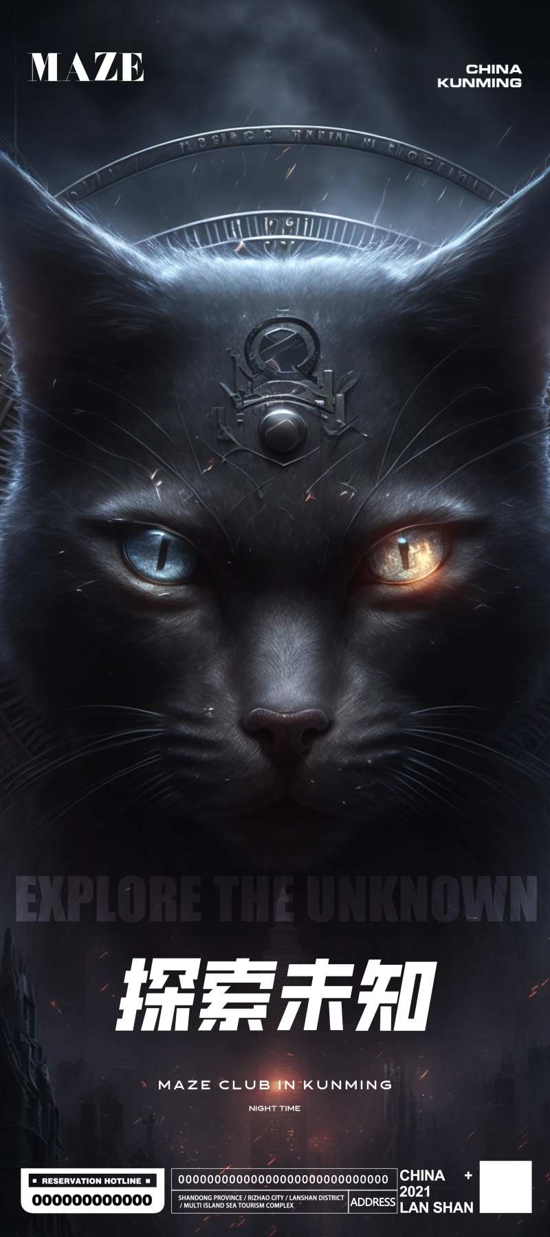 创意夜店酒吧黑猫海报-采灵感-cailinggan.com