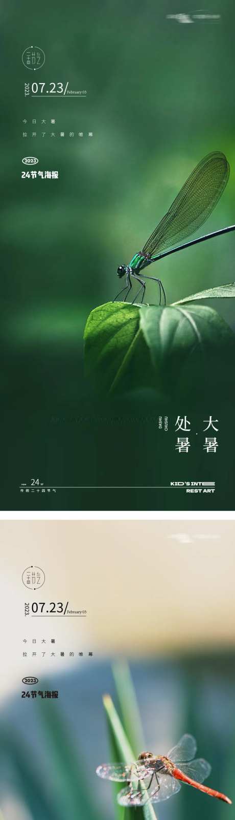 大暑处暑24节气地产蜻蜓海报-采灵感-https://www.cailinggan.com/