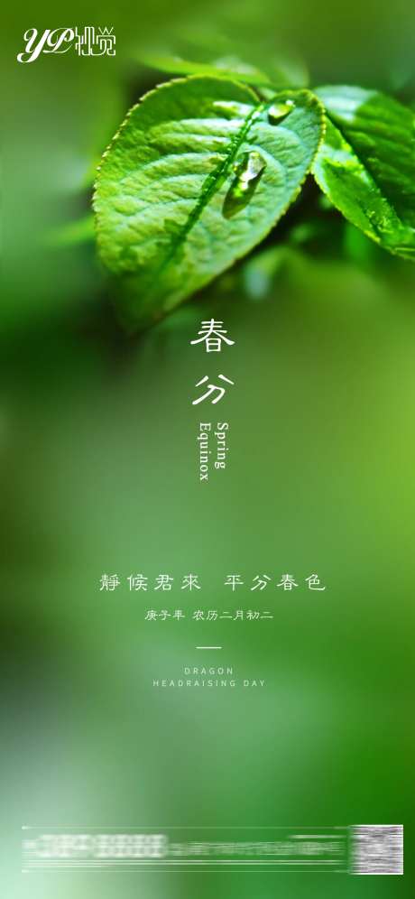 地产春分海报-采灵感-https://www.cailinggan.com/