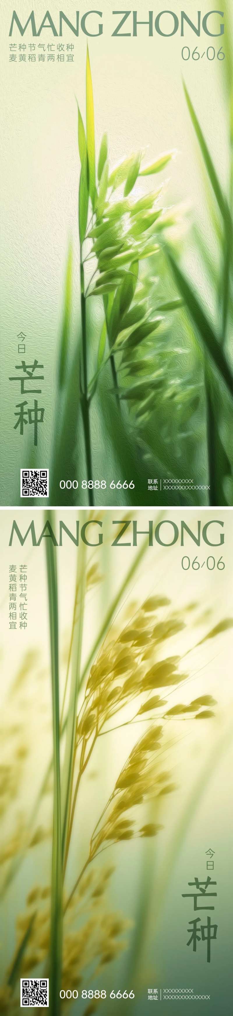 芒种节气海报-采灵感-cailinggan.com