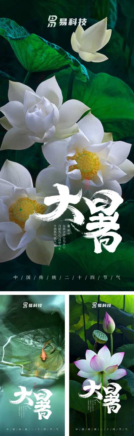 大暑荷塘海报-采灵感-https://www.cailinggan.com/